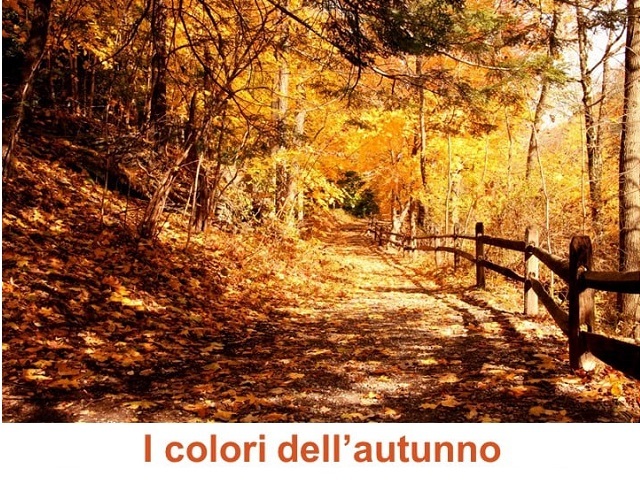 Roatto | Passeggiata ecologica "I colori dell'autunno"
